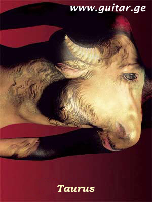 www.guitar.ge - Signs of the Zodiac. Taurus sign, Bull, body art, tattoo, piercing, picture, photo, art, colour, paint